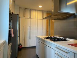 Cairnhill Crest (D9), Condominium #567216461